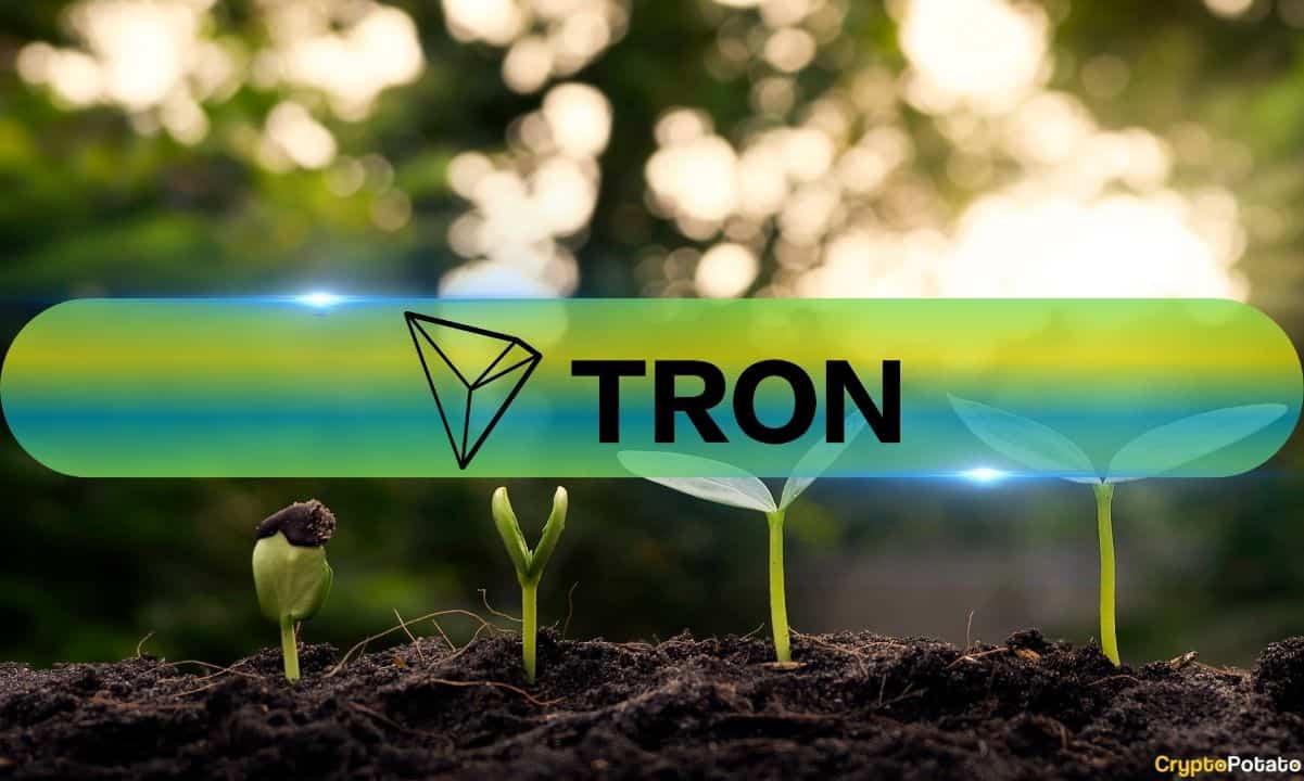 Tron从USDT Powerhouse到2024年的Defi Hub（加密量）