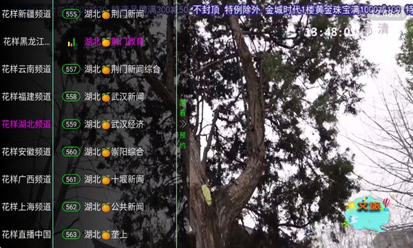 花样TV安卓版APP图片1