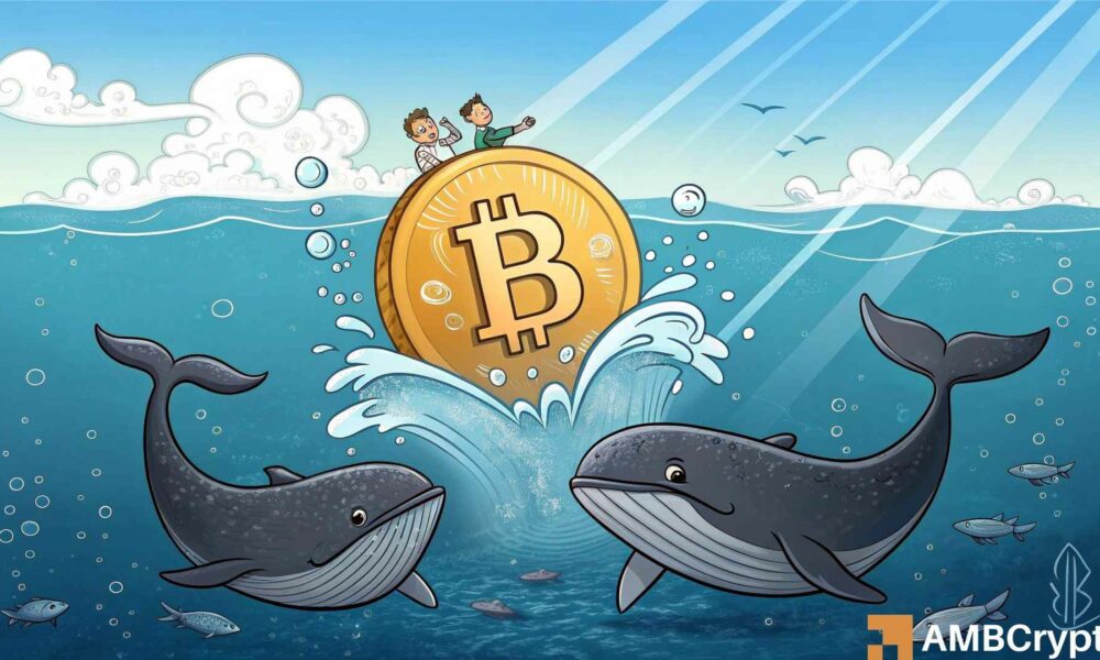 比特币鲸鱼30天狂扫11万枚BTC 5亿美元多单押注10.5万美元关键位