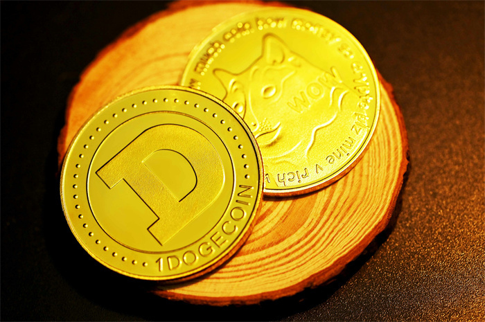 狗狗币(DOGE)0.21美元能否引爆352%暴涨行情 狗狗币进入关键需求区